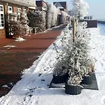 Seerose Wilhelmshaven