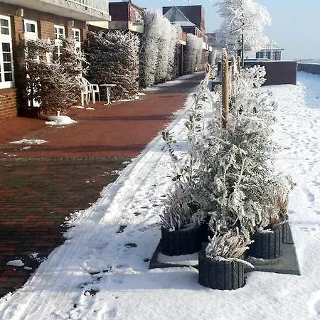 Seerose Wilhelmshaven